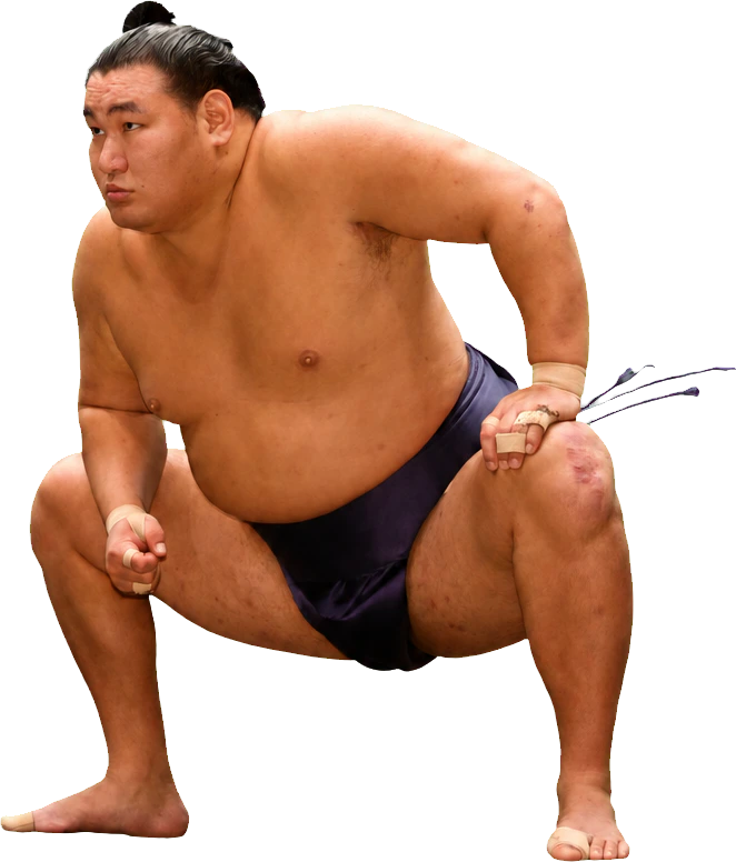 豊昇龍